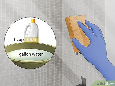 Best 5 Ways to Optimize Bluechew for Maximum Results in 2025