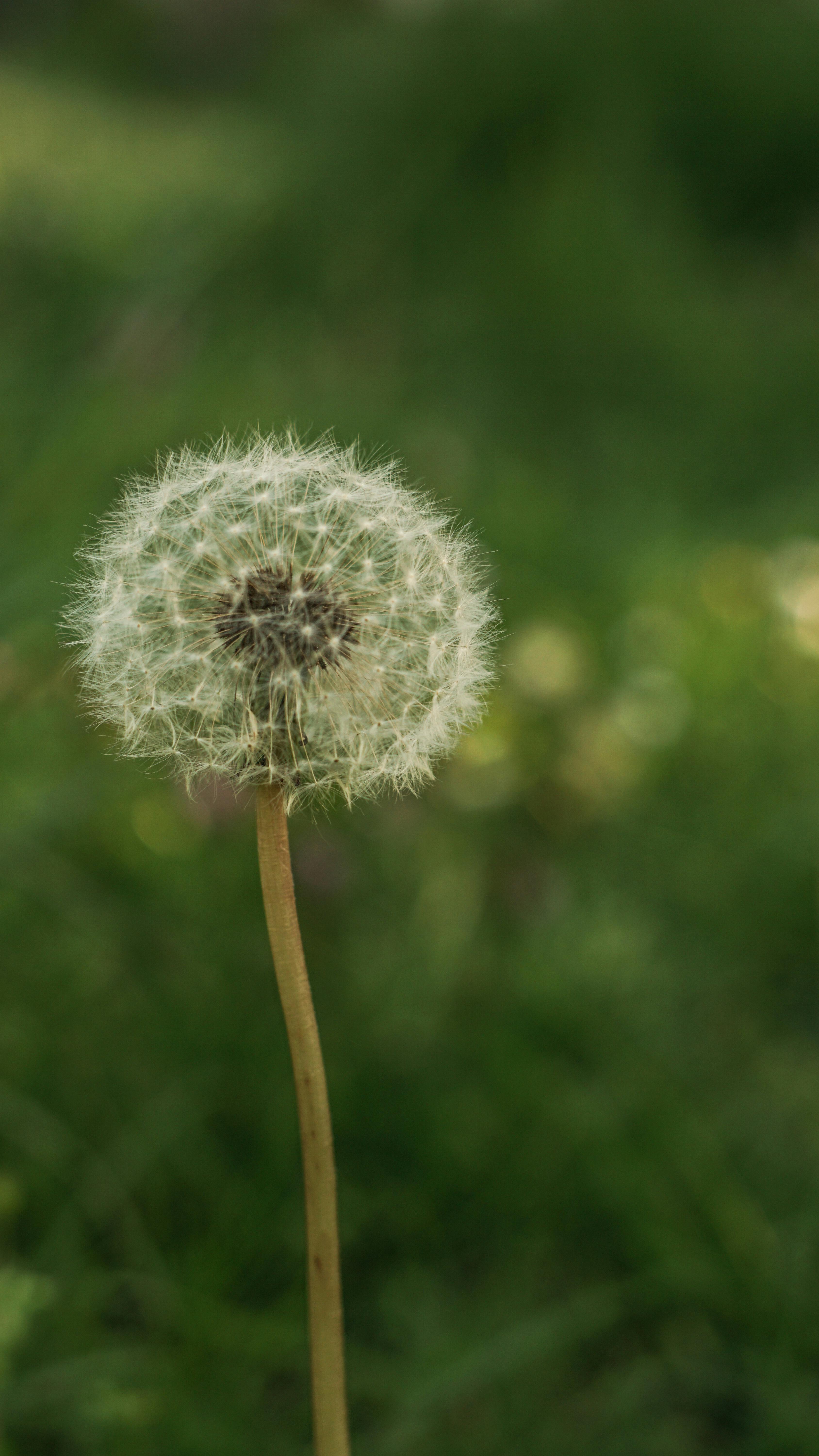 Top 5 Effective Methods for Adding Footnotes in Word 2025