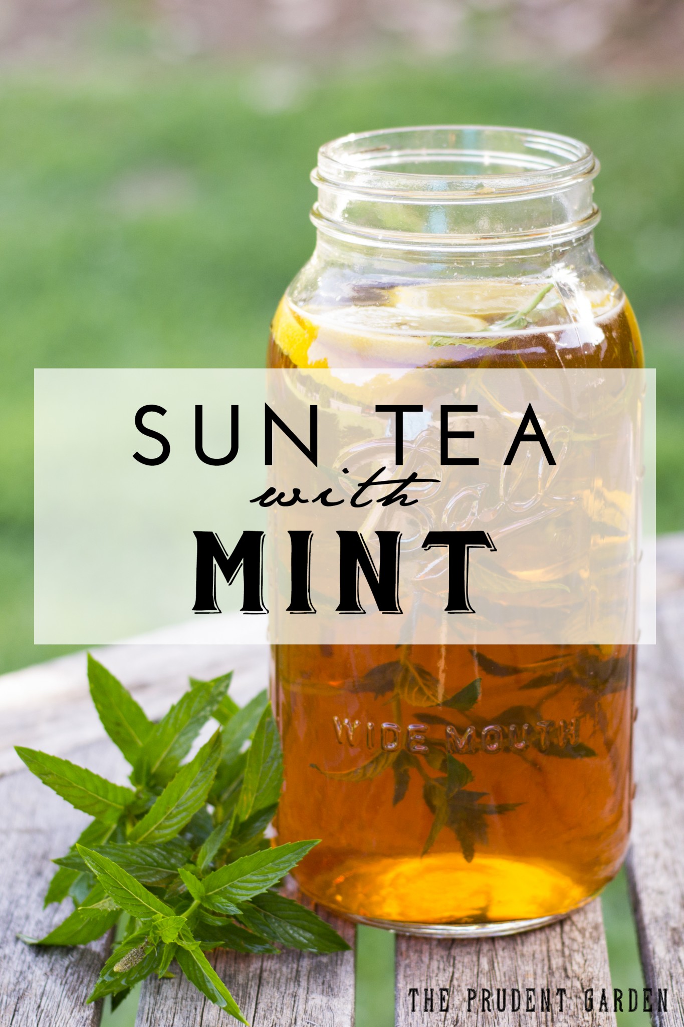 Refreshing Sun Tea